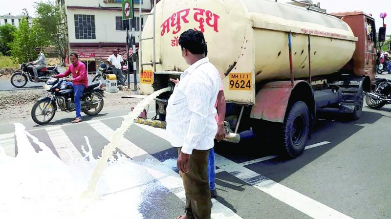 A farmer sheds milk in Pune. A farmer sheds milk in Pune.