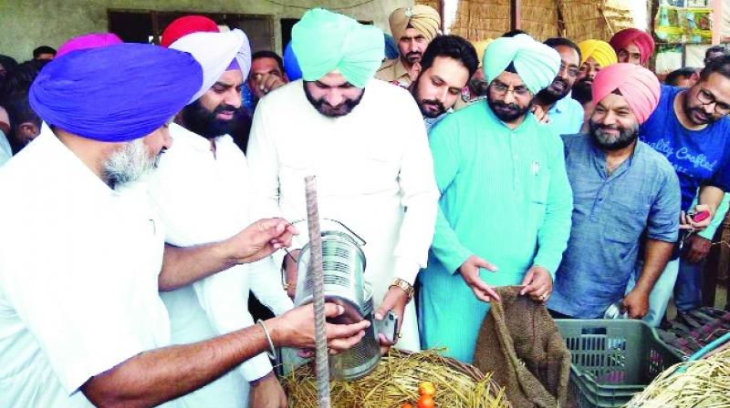 Navjot Singh Sidhu buying Milk and Vegetables