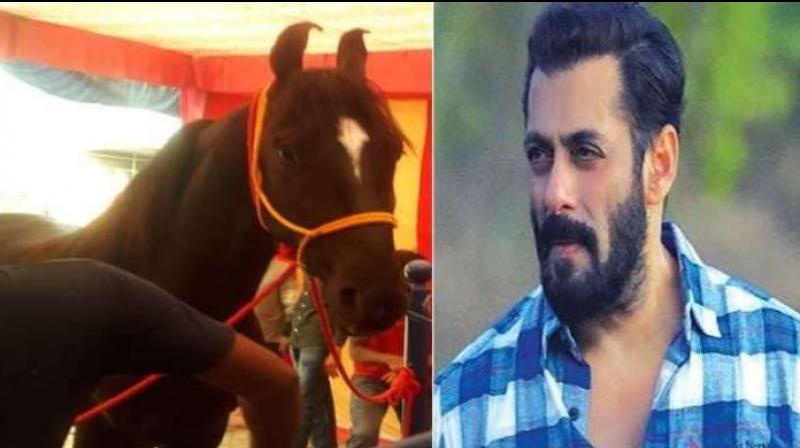 Salman Khan Salman Khan