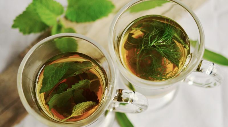 Boiled tea leaves are very useful for the body Boiled tea leaves are very useful for the body