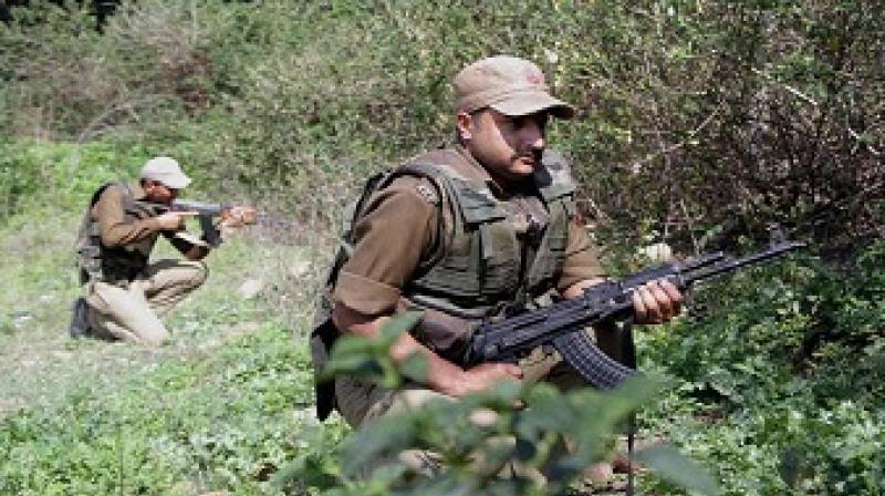 5 Terrorist dead 5 Terrorist dead