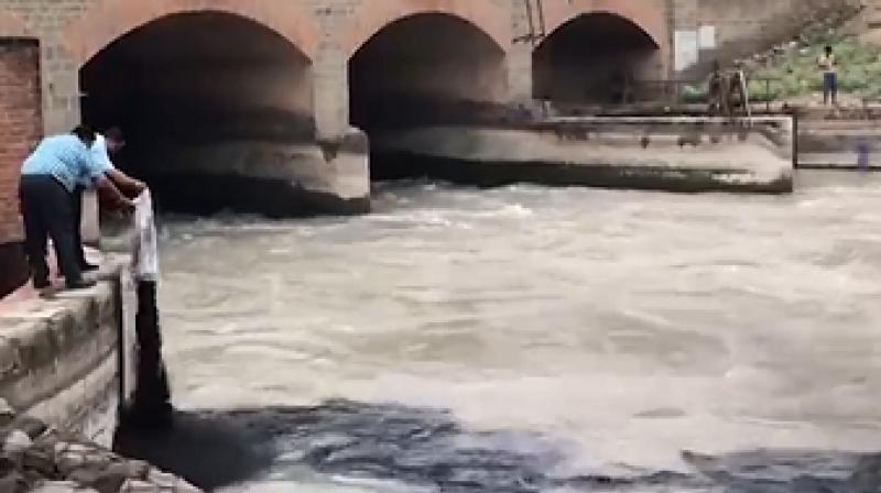 polluting the water of the Doraha Canal