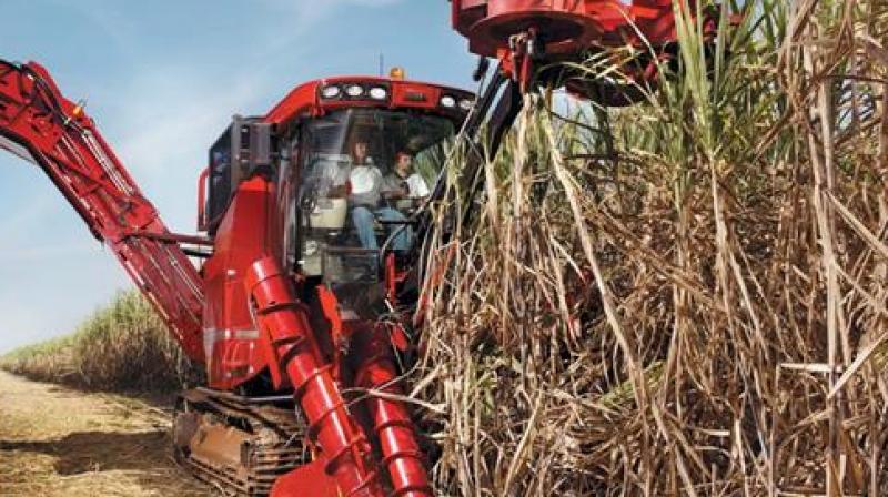 Sugar harvesting Machine 