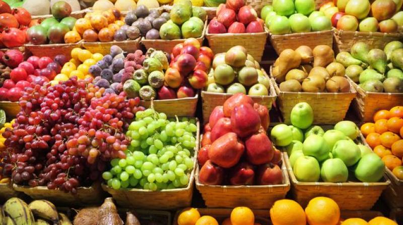 Fruits Fruits