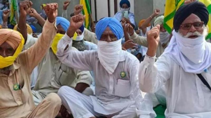 Farmers Protest Farmers Protest