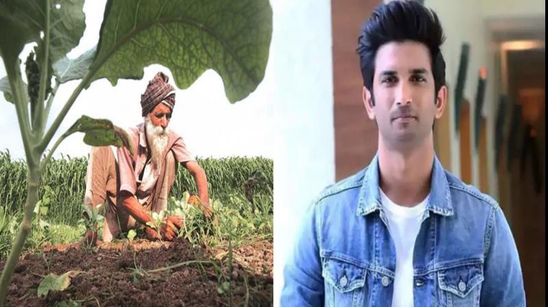 farmer and sushant Singh Rajput 