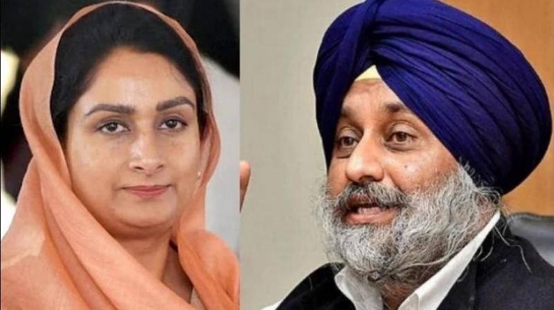 Harsimrat Kaur Badal and Sukhbir Singh Badal Harsimrat Kaur Badal and Sukhbir Singh Badal