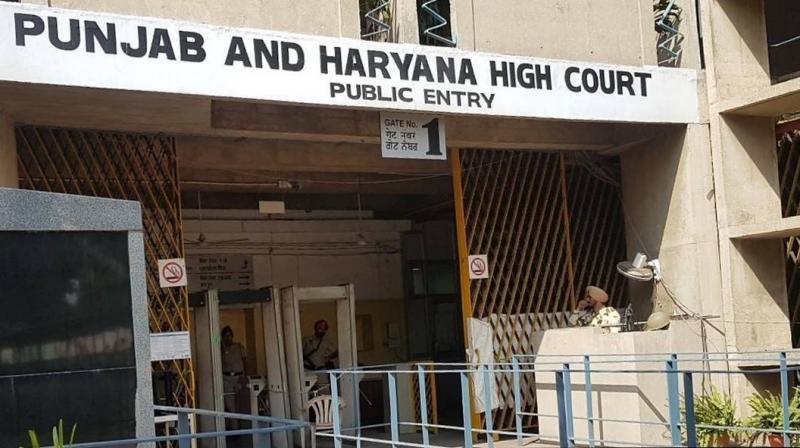 Punjab and Haryana High Court Chandigarh