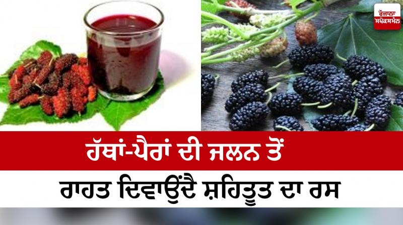 Mulberry juice gives relief from burning hands and feet