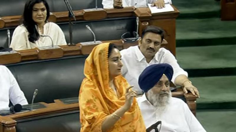 Harsimrat Kaur Badal in Lok Sabha Harsimrat Kaur Badal in Lok Sabha