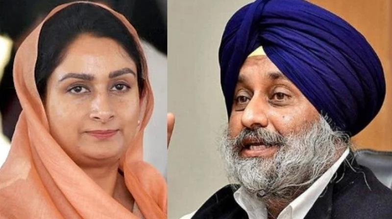 Harsimrat Kaur Badal-Sukhbir Singh Badal