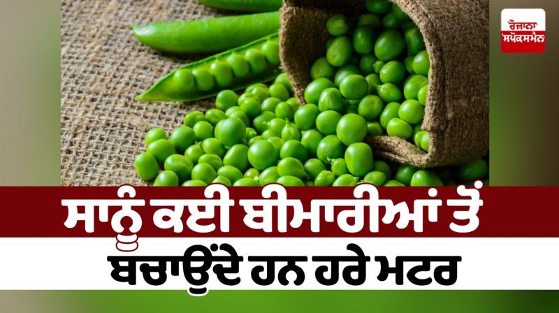 Green peas protect us from many diseases Health News Green peas protect us from many diseases Health News