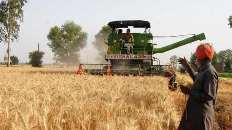 Pradhan mantri fasal bima yojana crop insurance pmfby sbi pnb icici bank Pradhan mantri fasal bima yojana crop insurance pmfby sbi pnb icici bank