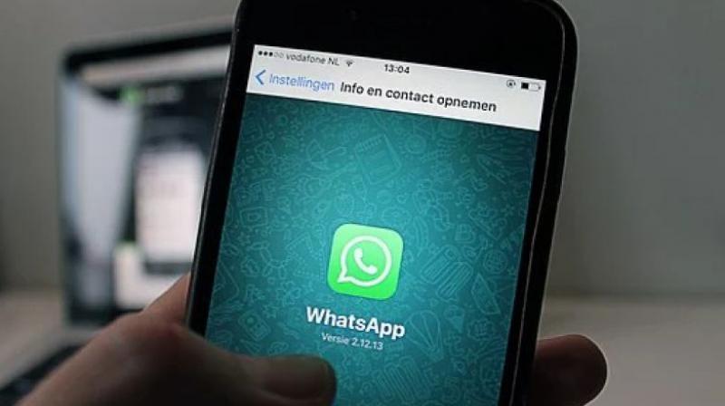 Fake news ifcn international fact checking network launches whatsapp chatbot Fake news ifcn international fact checking network launches whatsapp chatbot