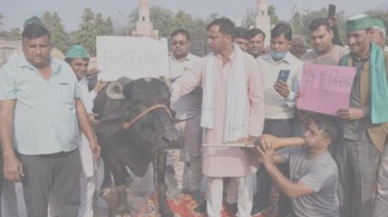 Farmers Protest Farmers Protest