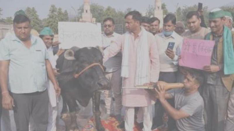 Farmers Protest