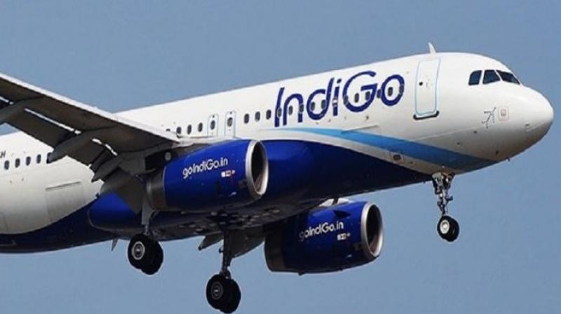  IndiGo Airlines