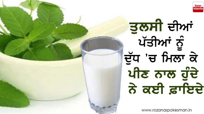Tulsi with Milk Tulsi with Milk