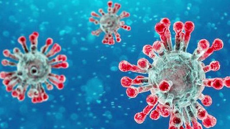 corona virus corona virus