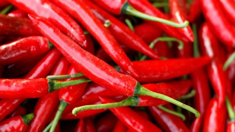Red Chilli Red Chilli