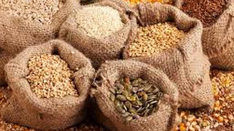 seeds seeds