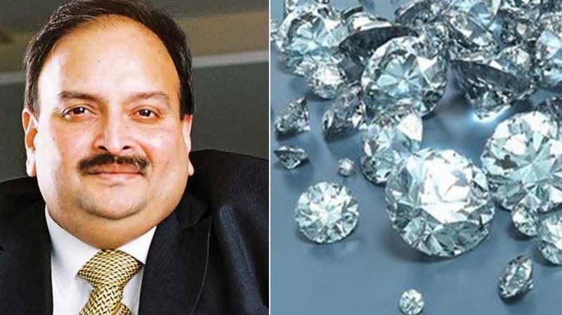 Mehul Choksi