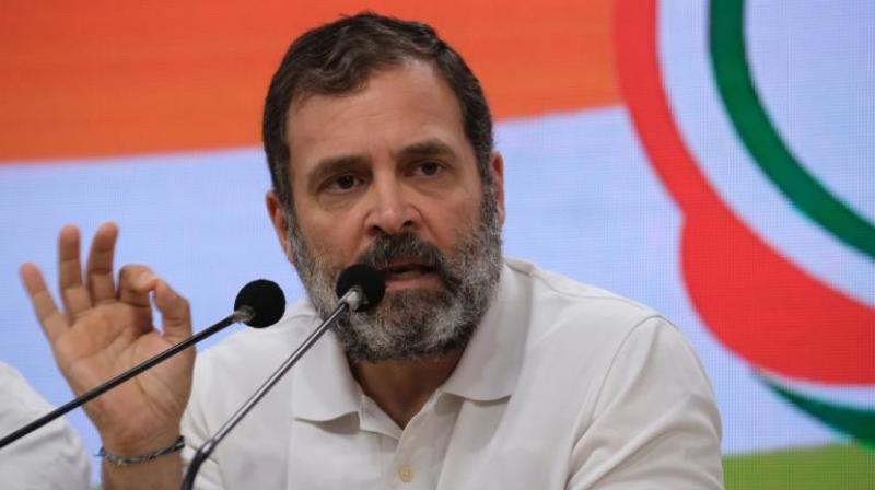 Rahul Gandhi may bid adieu to Wayanad seat in Lok Sabha Election 2024 Rahul Gandhi may bid adieu to Wayanad seat in Lok Sabha Election 2024