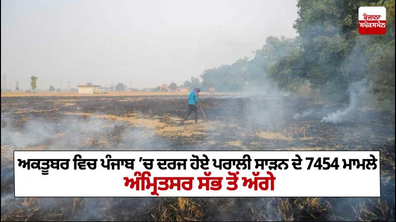 Punjab Stubble Burning Cases News Punjab Stubble Burning Cases News