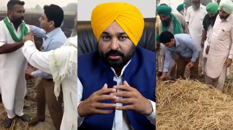 CM Reaction on Bathinda Stubble Burning News CM Reaction on Bathinda Stubble Burning News