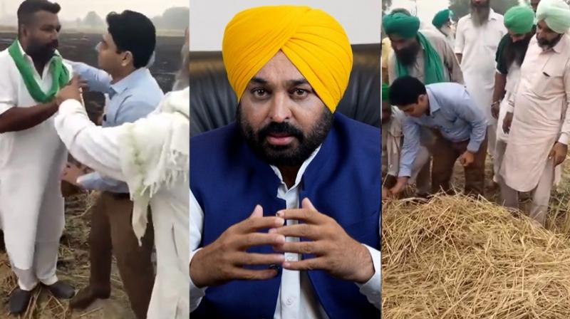 CM Reaction on Bathinda Stubble Burning News