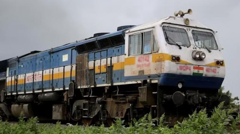 vigilant loco pilot stopped the freight train to save two lions vigilant loco pilot stopped the freight train to save two lions