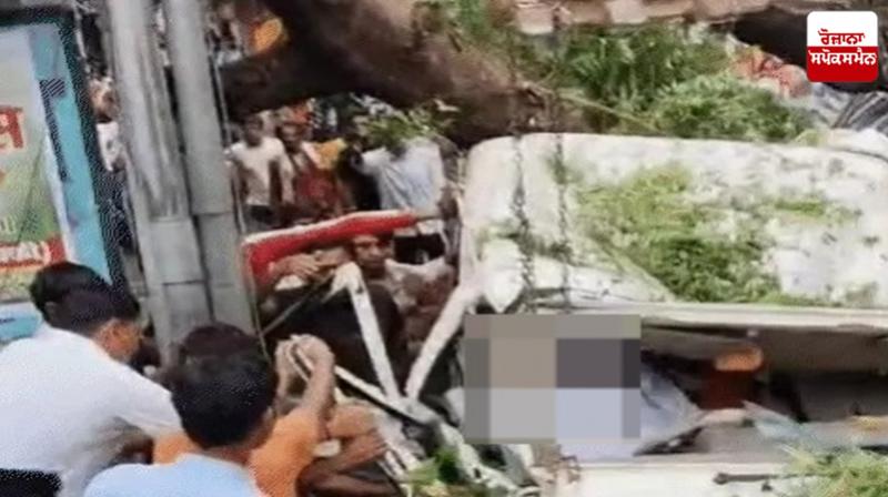 Tree fell on government school principal's car Tree fell on government school principal's car