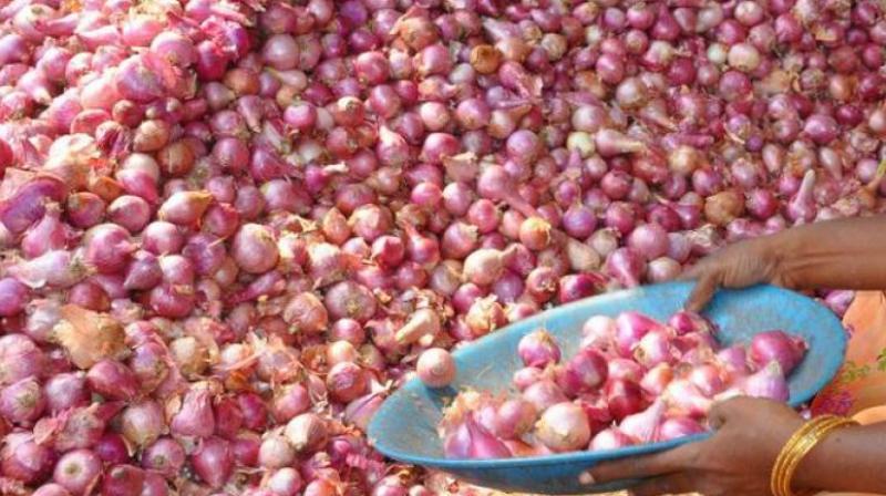 ONION ONION