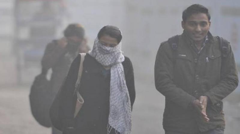 Delhi Cold
