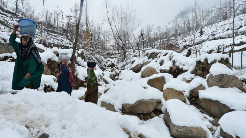Kashmir Cold Kashmir Cold