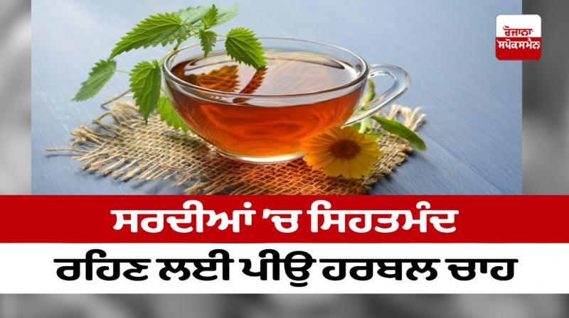 Drink herbal tea to stay healthy in winter