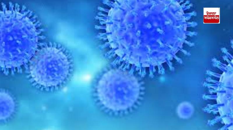 Hundreds of deadly virus samples missing from Australian lab, investigation continues Hundreds of deadly virus samples missing from Australian lab, investigation continues