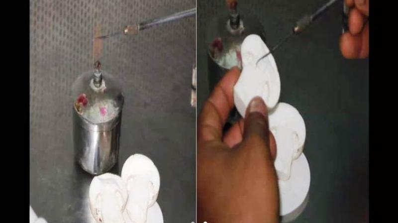Agricultural University conducts online training course on mushroom production Agricultural University conducts online training course on mushroom production