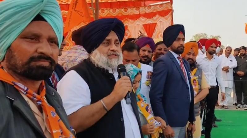 sukhbir kaur badal sukhbir kaur badal