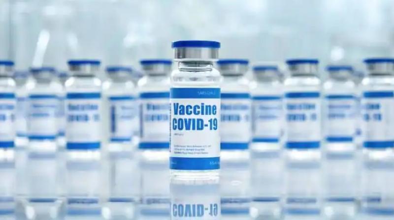 Vaccine Vaccine