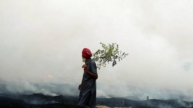 Stubble burning Stubble burning