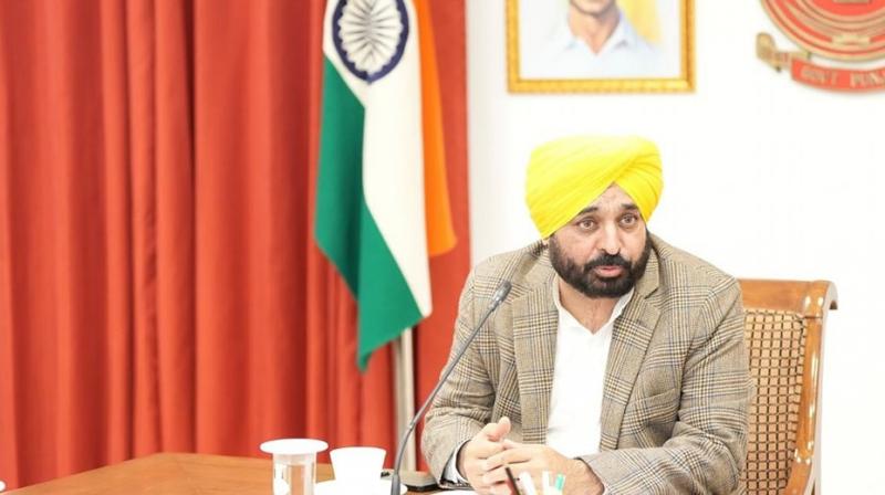 Punjab cabinet minister became star campaigner in Haryana Lok Sabha Election 2024 Punjab cabinet minister became star campaigner in Haryana Lok Sabha Election 2024