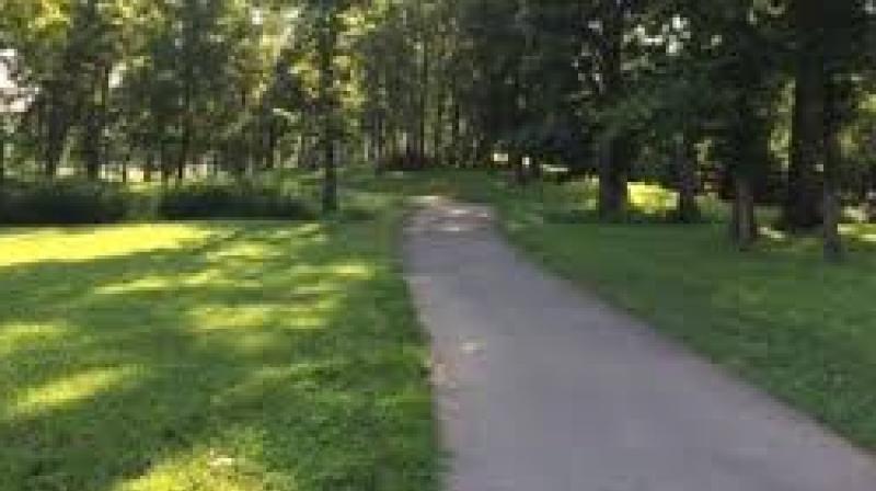 Different Cycle Tracks For The Children 
