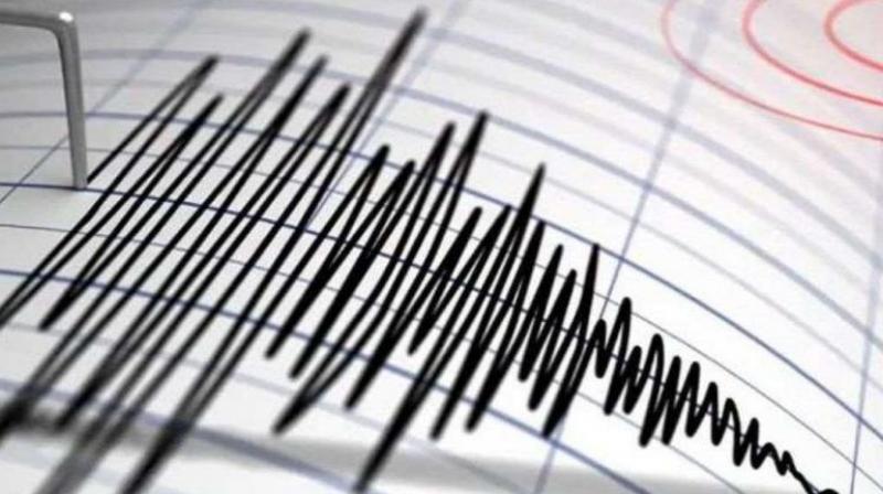 Earthquake in Kevadia of Gujarat