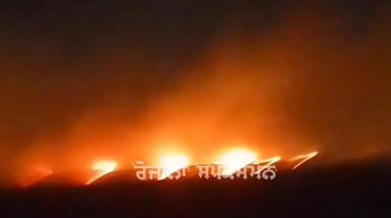 32 acres of wheat crop burnt to ashes