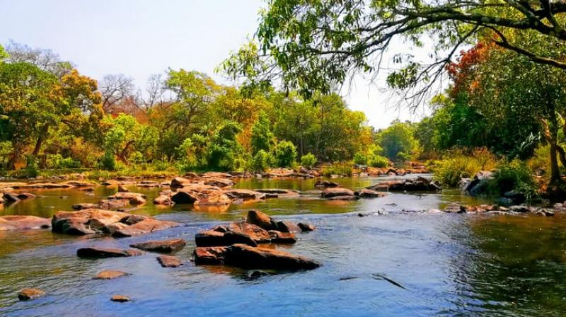 Tourist places in wayanad must visit Tourist places in wayanad must visit