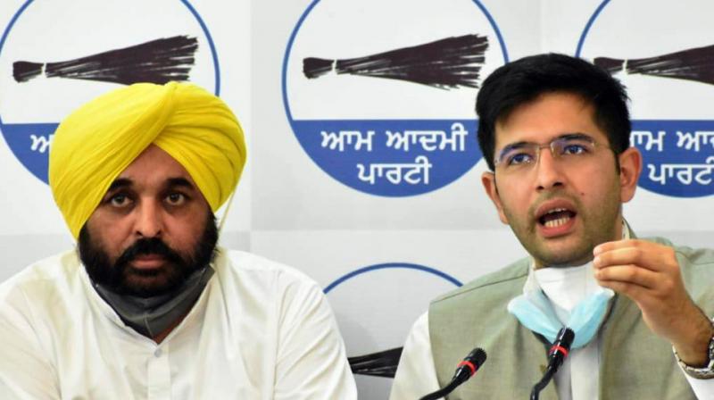 Bhagwant Mann and Raghav Chadha Bhagwant Mann and Raghav Chadha