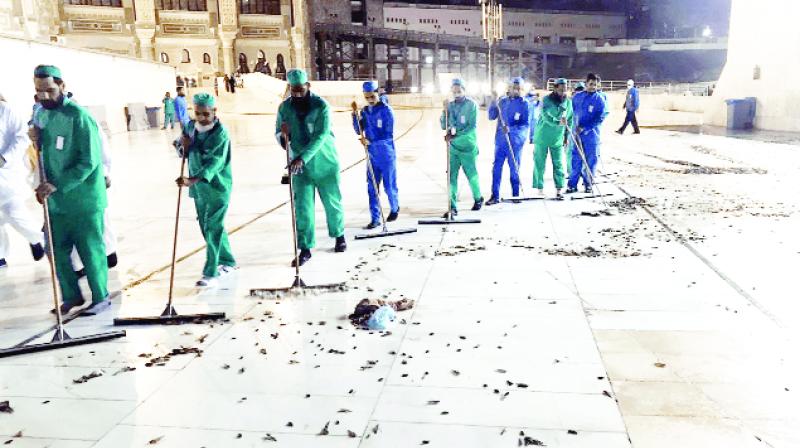 locust attack on the Mecca Masjid