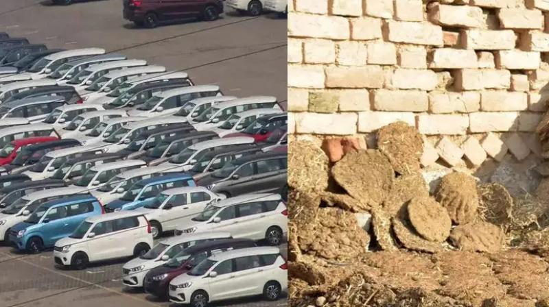 Maruti Suzuki bets on cow dung for biogas to power CNG cars Maruti Suzuki bets on cow dung for biogas to power CNG cars