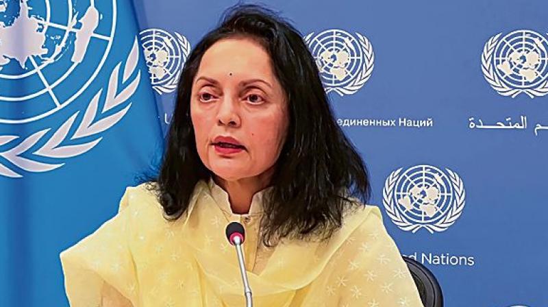 Violence against women, girls by terrorists continues: India